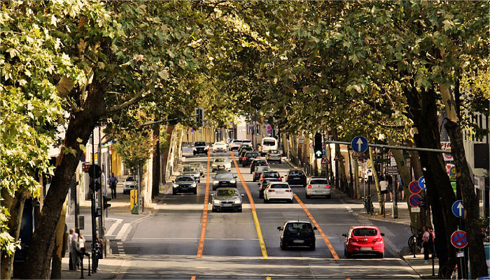 街景道路采集.jpg