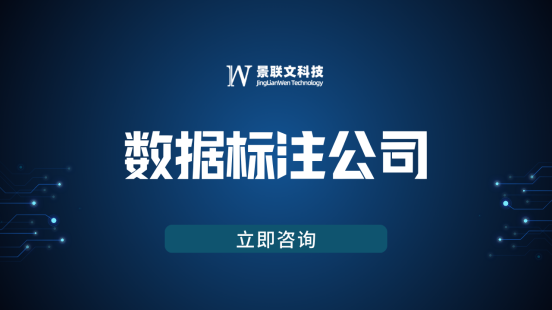 数据标注公司星欧注册科技：专业数据标注服务驱动AI创新与产业升级